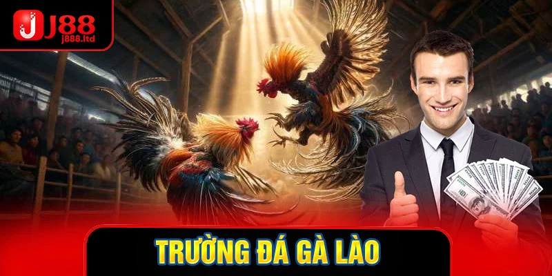 Thumb trường đá gà lào