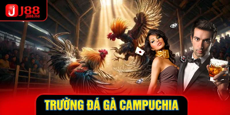 thumb trường đá gà campuchia